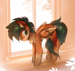 Size: 2600x2440 | Tagged: safe, artist:mirroredsea, derpibooru import, oc, oc only, pegasus, pony, arched back, behaving like a cat, chest fluff, coat markings, hock fluff, socks (coat marking), solo