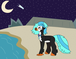 Size: 2491x1924 | Tagged: safe, artist:supahdonarudo, derpibooru import, oc, oc only, oc:icebeak, classical hippogriff, hippogriff, beach, jewelry, looking up, moon, necklace, night, ocean, sad, shooting star, stars, water