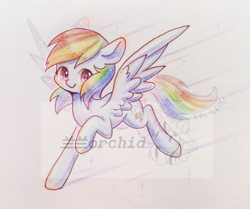 Size: 2398x2000 | Tagged: safe, artist:orchidlanlan738, derpibooru import, rainbow dash, pegasus, pony, blue coat, cute, dashabetes, full body, multicolored hair, rainbow hair, rainbow tail, solo, tail, traditional art