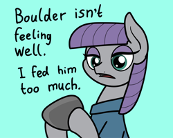 Size: 2048x1637 | Tagged: safe, artist:ewoudcponies, derpibooru import, boulder (pet), maud pie, earth pony, pony, g4, blue background, cyan background, dialogue, duo, female, hoof hold, lidded eyes, mare, simple background, talking to viewer