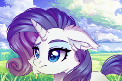 Size: 6000x4000 | Tagged: safe, artist:stesha, artist:stesha_art, derpibooru import, rarity, pony, unicorn, g4, absurd resolution, cheek fluff, cloud, ear fluff, ears, eyeshadow, female, floppy ears, grass, horn, makeup, mare, outdoors, scenery, sky, solo, tail, wallpaper