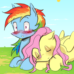 Size: 1000x1000 | Tagged: safe, artist:0liiver, derpibooru import, fluttershy, rainbow dash, pegasus, pony, blushing, duo, duo female, female, flutterdash, lesbian, shipping