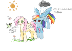 Size: 1024x720 | Tagged: safe, artist:mio06597, derpibooru import, fluttershy, rainbow dash, bird, pegasus, pony, cloud, duo, duo female, female, flower, flying, grass, mare, rain, raincloud, simple background, spread wings, sun, text, white background, wings