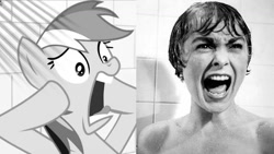 Size: 1192x670 | Tagged: safe, artist:thetremendousmario, derpibooru import, rainbow dash, human, pegasus, pony, alfred hitchcock, black and white, female, grayscale, janet leigh, mare, marion crane, monochrome, movie reference, psycho, screaming, shower, side by side