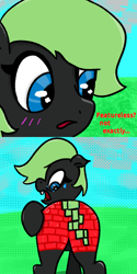 Size: 512x1024 | Tagged: safe, artist:wren, derpibooru import, oc, oc:fanonlilly, pony, blushing, brick, brick booty, brick tail, featureless crotch, forced meme, i just don't know what went wrong, looking away, upset