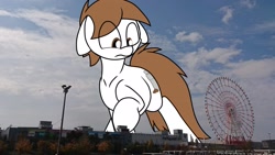 Size: 1920x1080 | Tagged: safe, artist:shakey_kyane929, derpibooru import, oc, oc only, oc:shakerato, earth pony, pony, ears, female, ferris wheel, floppy ears, giant pony, giantess, highrise ponies, irl, looking down, macro, mare, photo, ponies in real life, solo