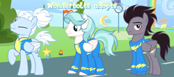 Size: 1280x567 | Tagged: safe, artist:vi45, derpibooru import, oc, oc only, pegasus, pony, clothes, male, stallion, uniform, winmk, wonderbolt trainee uniform, wonderbolts uniform