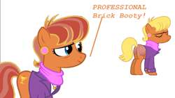 Size: 1920x1080 | Tagged: safe, derpibooru import, edit, ms. harshwhinny, earth pony, pony, g4, ascot, brick, brick booty, brick wall, bricks, butt, clothes, cutie mark, dialogue, ear piercing, earring, eyes closed, female, forced meme, jacket, jewelry, mare, multicolored mane, multicolored tail, piercing, plot, scarf, simple background, smiling, speech, tail, talking, text