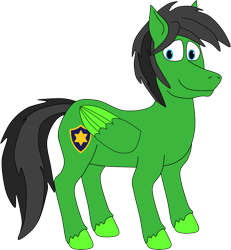 Size: 944x1021 | Tagged: safe, artist:thecanadiantoony2001, derpibooru import, oc, oc only, oc:star armour, pegasus, male, simple background, transparent background