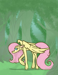 Size: 700x900 | Tagged: safe, artist:summerbeachyt, derpibooru import, fluttershy, pegasus, pony, g4, forest, nature, solo, tree