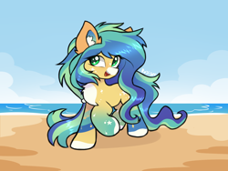 Size: 2000x1500 | Tagged: safe, artist:rejiser, derpibooru import, oc, oc only, earth pony, pony, beach, chest fluff, ear fluff, ears, female, long hair, long tail, open mouth, raised hoof, raised leg, simple background, smiling, solo, tail