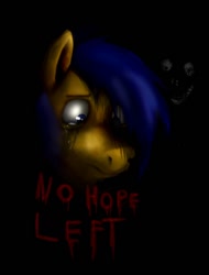 Size: 600x788 | Tagged: safe, artist:juninhooficial, derpibooru import, oc, oc only, oc:juninho, earth pony, pony, caption, darkness, depressed, nightmare fuel, sad, scary, smiley face, solo, text, vent art