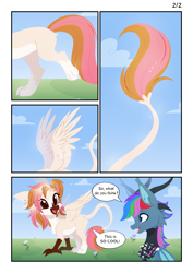 Size: 3999x5656 | Tagged: safe, artist:belka-sempai, derpibooru import, oc, oc only, oc:azure star (fauli1221), oc:belka, draconequus, griffon, pony, comic, cute, griffonized, horn, species swap, speech bubble, text, transformation