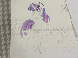 Size: 3000x2249 | Tagged: safe, artist:shiwei90823, derpibooru import, twilight sparkle, twilight sparkle (alicorn), alicorn, pony, unicorn, g4, duo, duo female, female, horn, photo, sketch, traditional art, wip