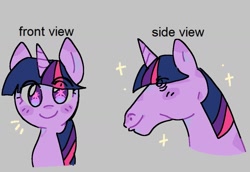 Size: 1145x790 | Tagged: safe, artist:koasku, derpibooru import, twilight sparkle, alicorn, pony, unicorn, g4, female, front view, gray background, hoers, horn, humor, looking at you, mare, side view, simple background, smiling, smiling at you, solo, sparkles