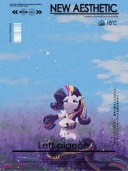 Size: 1620x2160 | Tagged: safe, artist:lendftcn, derpibooru import, rarity, pony, unicorn, g4, female, flower, flower field, horn, mare, rainbow power, solo, text