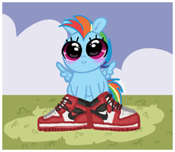 Size: 1551x1344 | Tagged: safe, artist:nootaz, derpibooru import, rainbow dash, pegasus, pony, g4, baby, baby pony, female, filly, filly rainbow dash, foal, shoes, sneakers, solo, younger