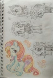 Size: 876x1280 | Tagged: safe, artist:shunshell, derpibooru import, sunny daze (g3), g3, blushing, looking at you, non-pony oc, photo, sitting, sketch, sketch dump, smiling, smiling at you, traditional art