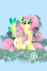 Size: 1200x1800 | Tagged: safe, artist:dontmindmebree, derpibooru import, fluttershy, pegasus, pony, g4, big eyes, blue background, blushing, colored hooves, colored wings, eyelashes, female, freckles, green eyes, hooves, looking at you, pegasus wings, pink hooves, pink mane, pink tail, redesign, simple background, sitting, smiling, smiling at you, solo, spread wings, tail, two toned wings, wings