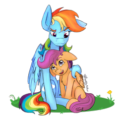 Size: 1306x1264 | Tagged: safe, artist:destiny_manticor, derpibooru import, rainbow dash, scootaloo, pegasus, pony, g4, best pony, commission, cuddling, duo, duo female, ears, female, filly, floppy ears, flower, foal, folded wings, grass, grass field, if only, looking at each other, looking at someone, mare, multicolored hair, one ear down, rainbow hair, scootalove, sibling love, simple background, sisterly love, sitting, smiling, smiling at each other, transparent background, wings