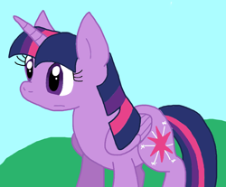 Size: 920x761 | Tagged: safe, artist:cmara, derpibooru import, twilight sparkle, twilight sparkle (alicorn), alicorn, g4, female, mare, solo