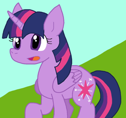 Size: 822x771 | Tagged: safe, artist:cmara, derpibooru import, twilight sparkle, twilight sparkle (alicorn), alicorn, g4, female, solo