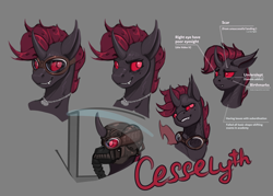 Size: 2800x2000 | Tagged: safe, artist:richmay, derpibooru import, oc, oc:cesselyth, changeling, aviator goggles, changeling oc, dog tags, flight helmet, goggles, helmet, mask, pilot, red changeling, reference sheet, smiling, smirk