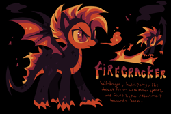 Size: 2048x1365 | Tagged: safe, artist:squilko, derpibooru import, part of a set, oc, oc only, oc:firecracker, dracony, dragon, hybrid, pony, g4, antagonist, bald face, big eyes, black background, black coat, blaze (coat marking), coat markings, colored belly, colored claws, colored pinnae, colored sclera, dragon tail, facial markings, fire, frown, mane of fire, mohawk, orange sclera, profile, red eyes, red text, simple background, slit eyes, solo, sparkly wings, spiked tail, spread wings, standing, tail, text, three toned wings, wings