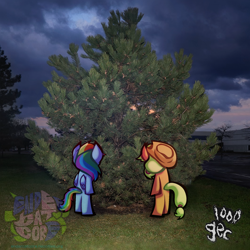 Size: 2092x2089 | Tagged: safe, artist:endercatcore, derpibooru import, applejack, rainbow dash, earth pony, pegasus, pony, g4, 100 gecs, album cover, duo, duo female, female, folded wings, ponified, ponified album cover, real life background, species swap, wings