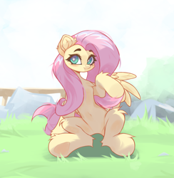 Size: 3950x4055 | Tagged: safe, artist:jfrxd, derpibooru import, fluttershy, pegasus, pony, g4, belly, belly button, featureless crotch, female, mare, sitting, solo