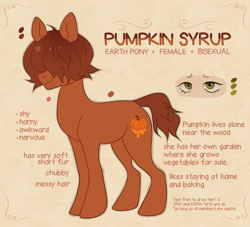 Size: 2200x2000 | Tagged: safe, artist:sociofag, derpibooru import, oc, oc:pumpkin syrup, earth pony, pony, cutie mark, earth pony oc, female, hair over eyes, mare, reference sheet, tomboy