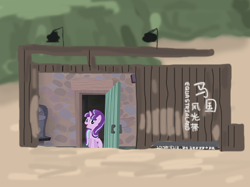 Size: 427x320 | Tagged: safe, derpibooru import, starlight glimmer, pony, unicorn, g4, board, china, chinese, flood, horn, lights, sign, text, tree, water