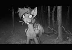 Size: 2480x1748 | Tagged: safe, artist:charlot, derpibooru import, oc, oc only, oc:ruralsoup, pegasus, pony, bow, camera shot, commission, digital art, fangs, forest, glowing, glowing eyes, looking at you, monochrome, nature, night vision, pegasus oc, solo, tail, tail bow, trail cam, tree, ych result