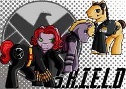 Size: 800x566 | Tagged: dead source, safe, artist:clueless-nu, derpibooru import, earth pony, pony, black widow (marvel), clothes, costume, female, hawkeye, male, mare, marvel, marvel cinematic universe, name tag, necktie, phil coulson, ponified, s.h.i.e.l.d., smiling, species swap, stallion, suit, tail, trio