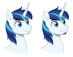 Size: 1280x1000 | Tagged: safe, artist:heilos, derpibooru import, shining armor, unicorn, g4, bust, facial hair, goatee, horn, male, portrait, simple background, smiling, solo, stallion, white background