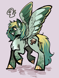 Size: 2004x2672 | Tagged: safe, artist:slimeysquirrels, derpibooru import, oc, oc only, pegasus, pony, bipedal, blue coat, chest fluff, colored ear fluff, colored ears, colored hooves, colored muzzle, colored wings, colored wingtips, concave belly, dark muzzle, dishevelled, ear fluff, ears, facial markings, gold hooves, golden eyes, hooves, leg markings, messy mane, multicolored wings, nervous, nervous smile, original art, pegasus oc, profile, purple background, shiny hooves, shrunken pupils, signature, simple background, smiling, solo, spread wings, standing, teal coat, teal mane, three toned wings, two toned mane, two toned wingtips, wings