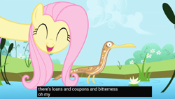 Size: 1920x1080 | Tagged: safe, derpibooru import, edit, edited screencap, screencap, fluttershy, bird, pegasus, pony, g4, season 1, the ticket master, bittern, caption, female, long neck, meme, text, youtube caption