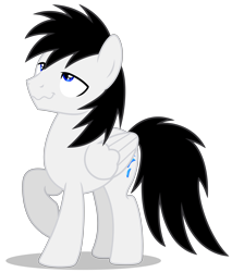 Size: 4811x5641 | Tagged: safe, artist:creedyboy124, derpibooru import, oc, oc only, oc:shane park, pegasus, pony, base used, black mane, black tail, blue eyes, male, pegasus oc, raised hoof, raised leg, simple background, solo, stallion, stallion oc, standing, tail, transparent background, white pony, wings