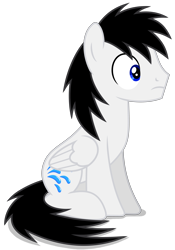 Size: 3632x5177 | Tagged: safe, artist:creedyboy124, derpibooru import, oc, oc only, oc:shane park, pegasus, pony, base used, male, pegasus oc, simple background, sitting, solo, stallion, stallion oc, transparent background, wings