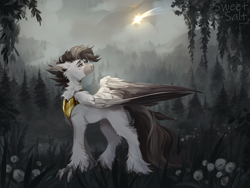 Size: 4000x3000 | Tagged: safe, artist:sweettsa1t, derpibooru import, oc, oc only, oc:grae ironwing, hippogriff, black mane, forest background, outdoors, royal guard, shooting star, solo