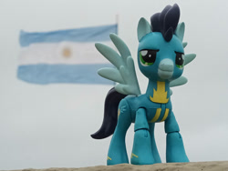 Size: 1032x774 | Tagged: safe, artist:dingopatagonico, derpibooru import, soarin', pegasus, argentina, flag, photo, solo