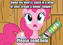 Size: 896x634 | Tagged: safe, artist:umsx, derpibooru import, edit, edited screencap, editor:umsx, screencap, pinkie pie, earth pony, pony, a friend in deed, g4, chips, duke nukem, food, meme, potato chips, pran of cingles, pringles, protonjon, shitposting, solo, text