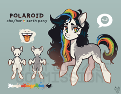 Size: 1000x778 | Tagged: safe, artist:maroonmads, derpibooru import, oc, oc only, earth pony, pony, commission, reference sheet, solo, ych result