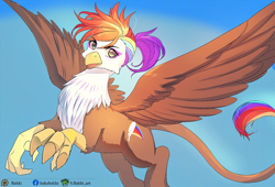 Size: 1400x954 | Tagged: safe, artist:bakki, derpibooru import, oc, oc only, oc:rainbow feather, griffon, commission, female, flying, griffon oc, interspecies offspring, looking at you, magical lesbian spawn, offspring, parent:gilda, parent:rainbow dash, parents:gildash, solo, spread wings, wings