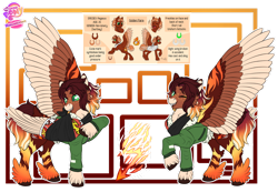 Size: 1280x887 | Tagged: safe, artist:malinraf1615, derpibooru import, oc, oc only, oc:golden flare, pony, bandage, bomber jacket, clothes, colored wings, jacket, multicolored wings, reference sheet, simple background, solo, transparent background, wings