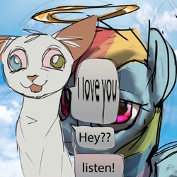 Size: 2000x2000 | Tagged: safe, artist:skypaw10, derpibooru import, rainbow dash, oc, cat, pegasus, pony, g4, annoying, duo, english, halo, text