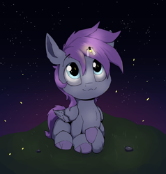 Size: 1550x1627 | Tagged: safe, artist:luxsimx, derpibooru import, oc, oc only, oc:cyclone stormy, firefly (insect), insect, pegasus, pony, colt, foal, male, night, solo