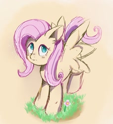 Size: 1700x1862 | Tagged: safe, artist:mr_deggster, derpibooru import, fluttershy, pegasus, pony, g4, pegasus wings, solo, wings