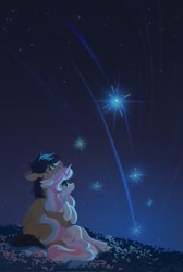 Size: 1375x2048 | Tagged: safe, artist:hichieca, derpibooru import, oc, oc only, earth pony, pegasus, cute, duo, duo male and female, female, flower, hug, hug from behind, looking up, male, night, shooting star, stars