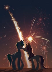 Size: 1535x2132 | Tagged: safe, artist:hichieca, derpibooru import, oc, oc only, earth pony, unicorn, cute, duo, duo male and female, female, fireworks, horn, kissing, male, mare, night, oc x oc, shipping, stallion, straight